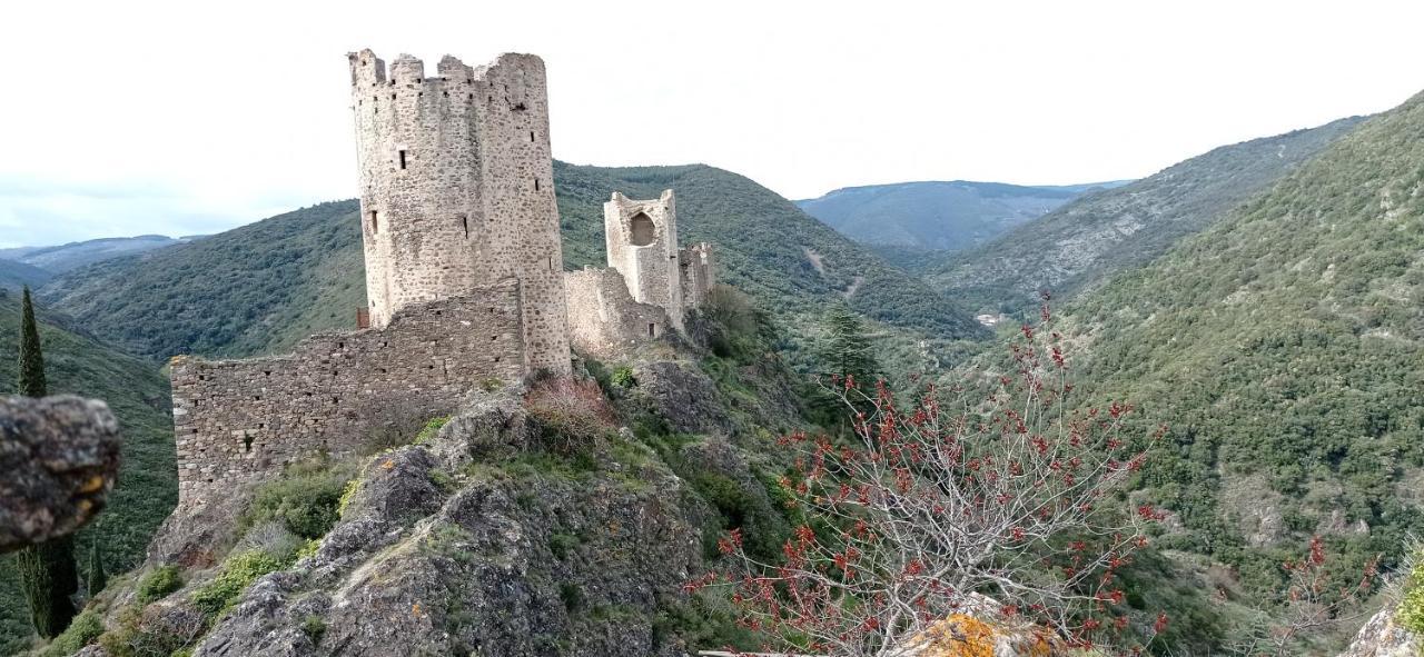 Apartament La Douce Cathare Carcassonne Zewnętrze zdjęcie